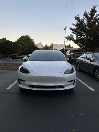 Tesla Model 3 Magnetic Fangs